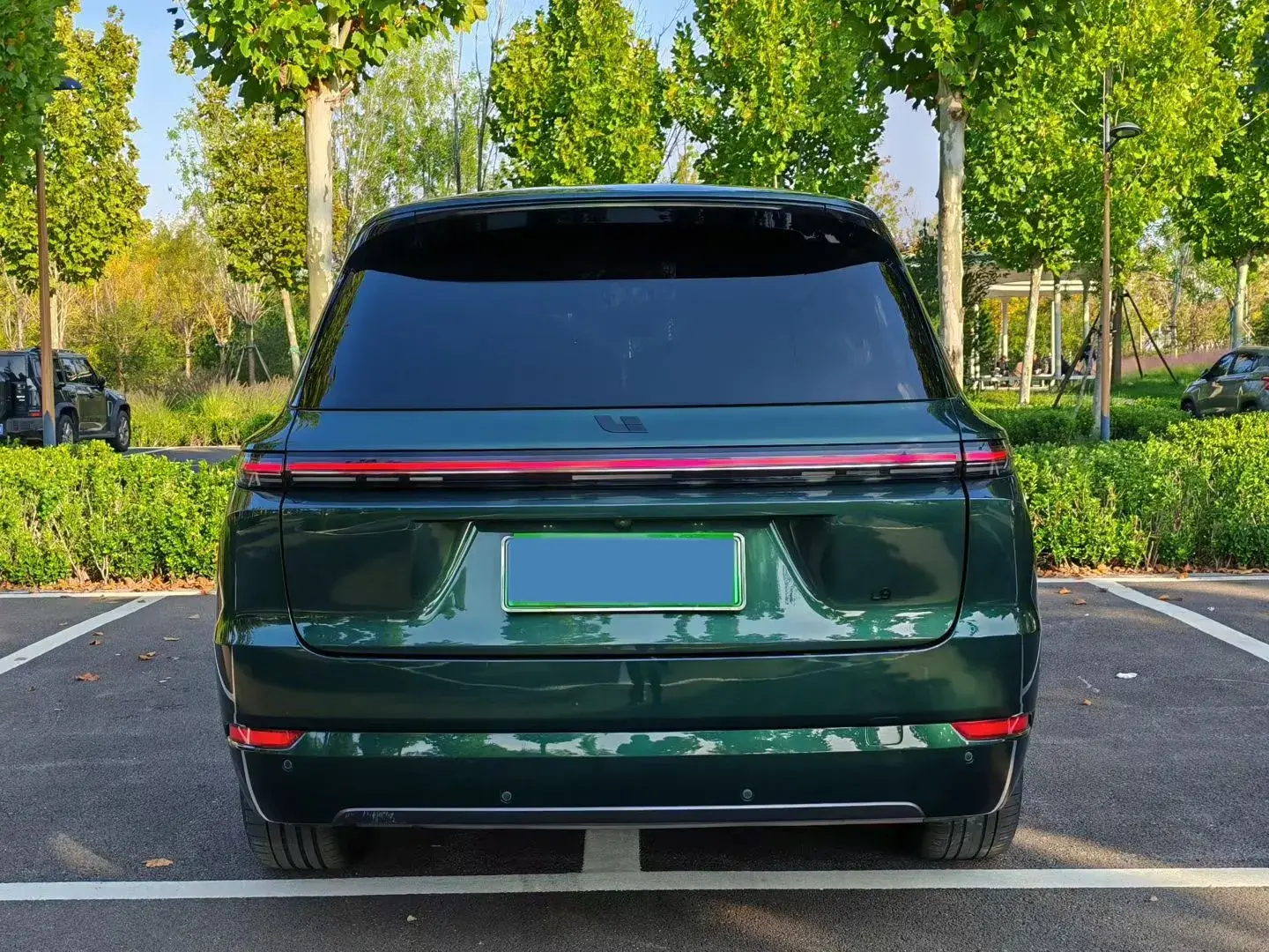 2022 LI L9 thumbnail 3