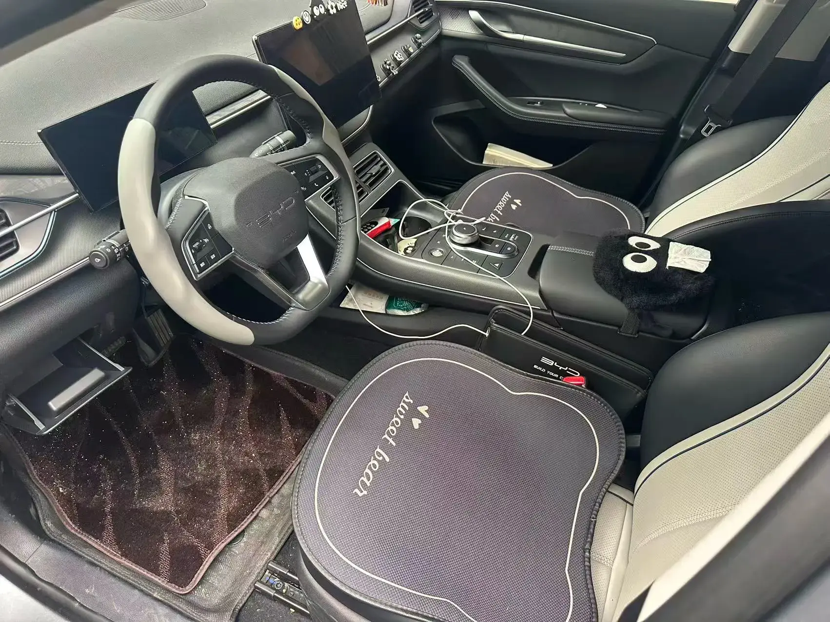 2024 BYD DESTROYER thumbnail 2