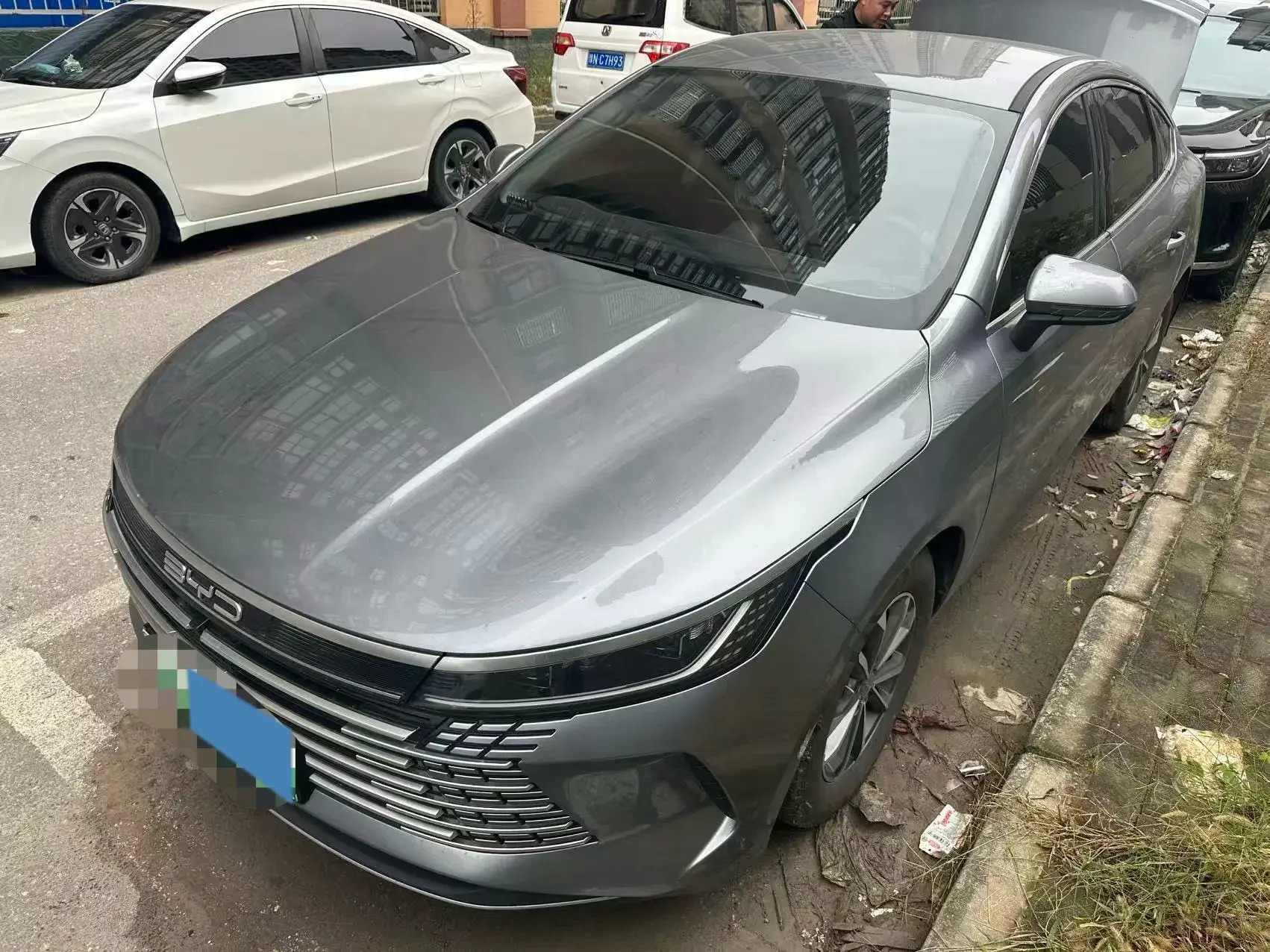 2024 BYD DESTROYER view 1