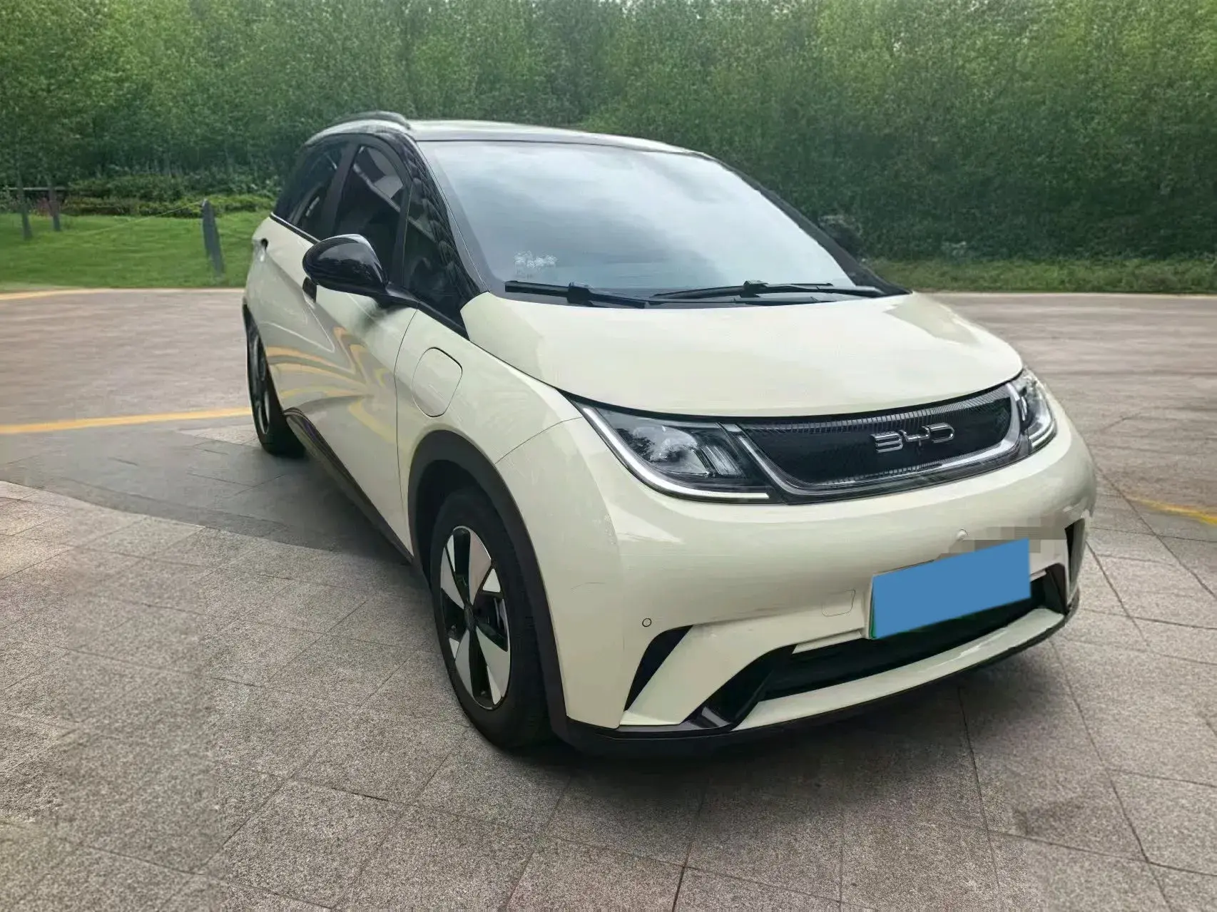 2023 BYD DOLPHIN thumbnail 2