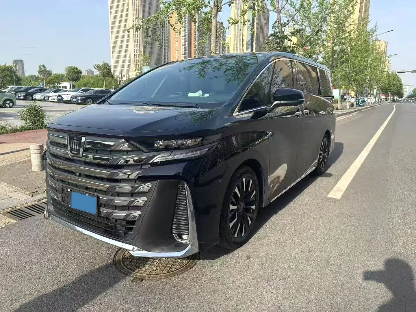2024 TOYOTA VELLFIRE view 1