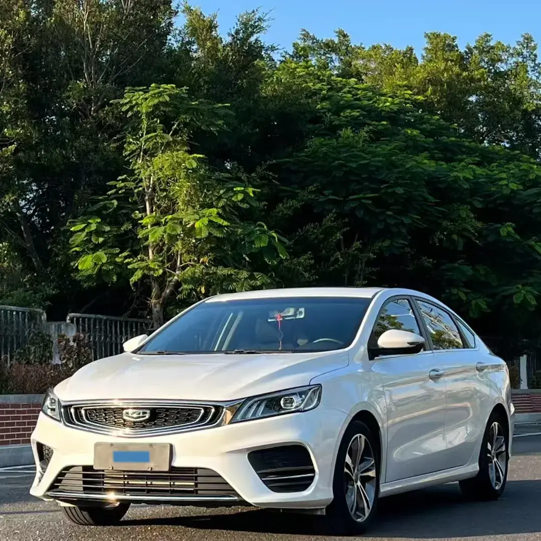 2020 GEELY BINRAY view 1