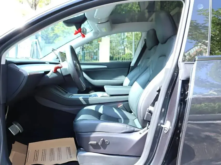 2024 TESLA MODEL thumbnail 2