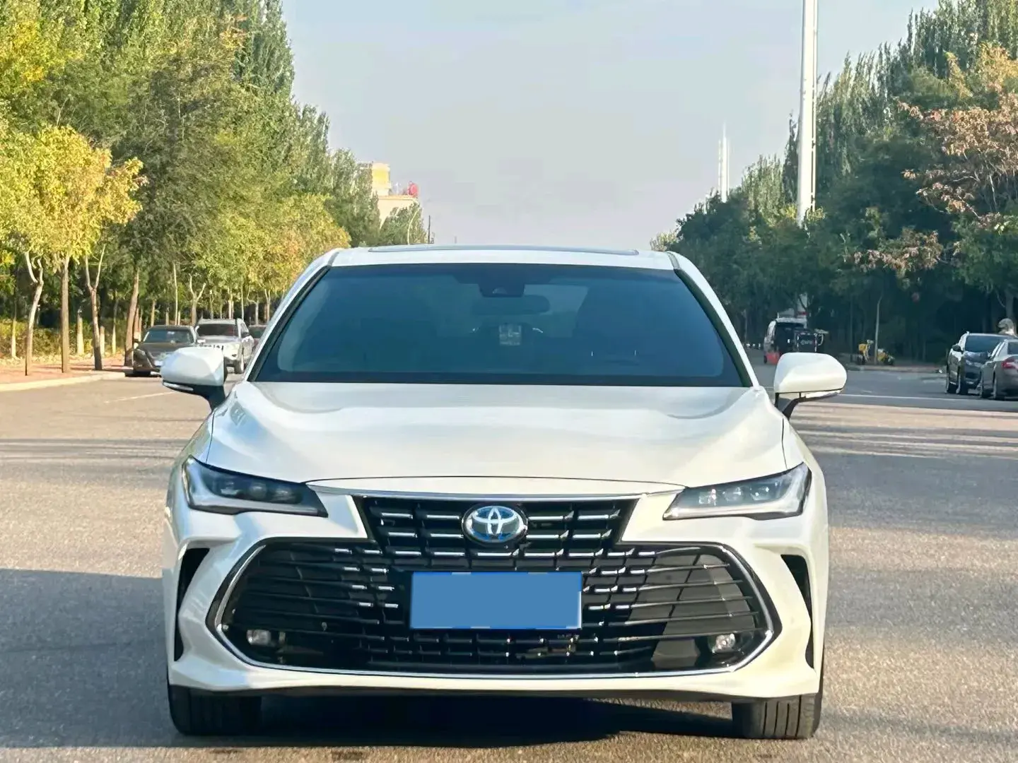 2022 TOYOTA AVALON thumbnail 2
