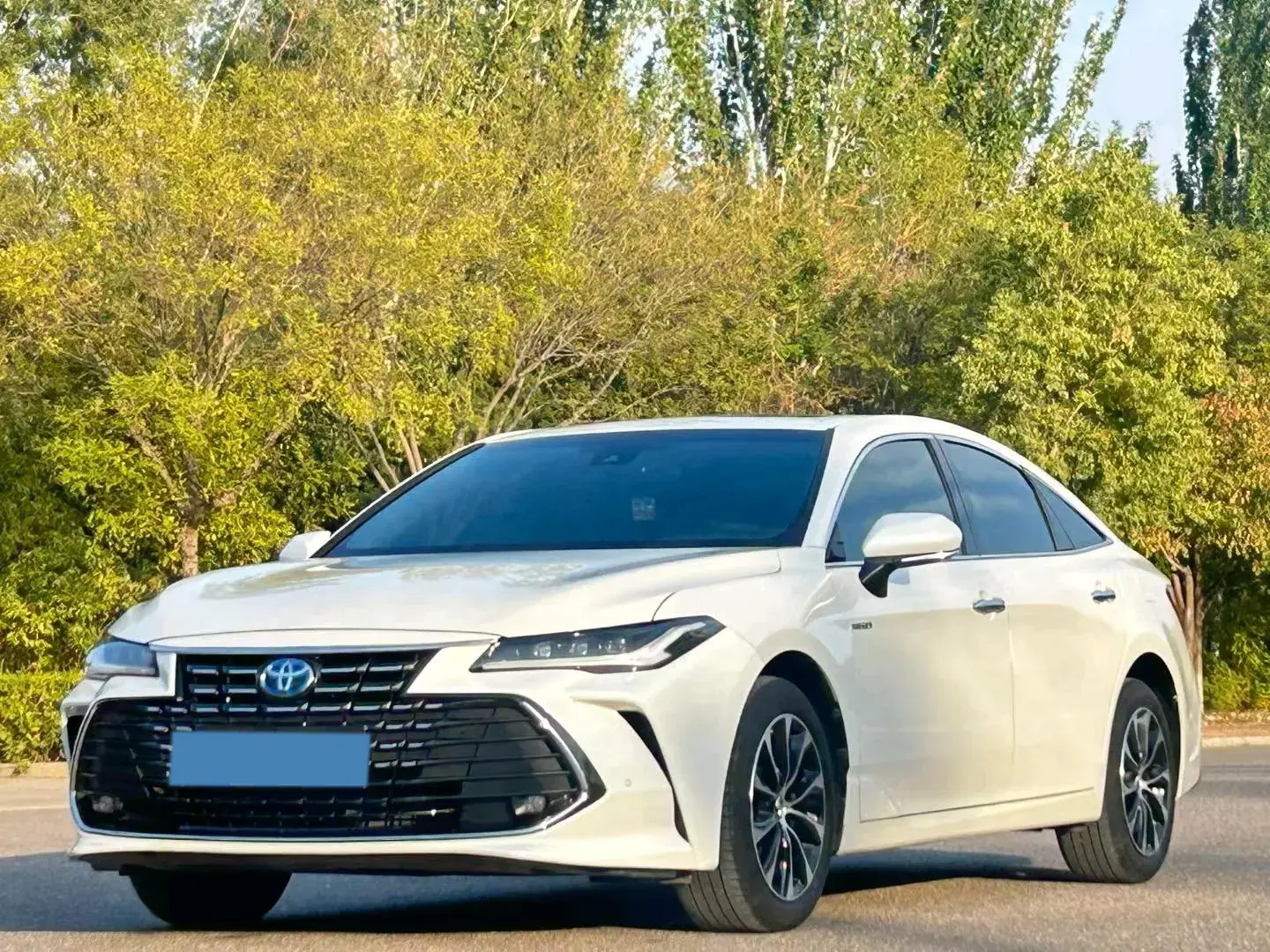 2022 TOYOTA AVALON view 1