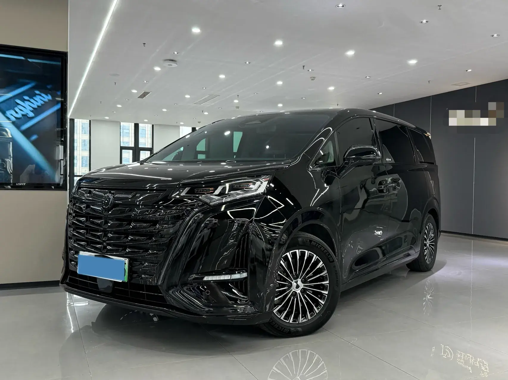 2022 DENZA D9 view 1