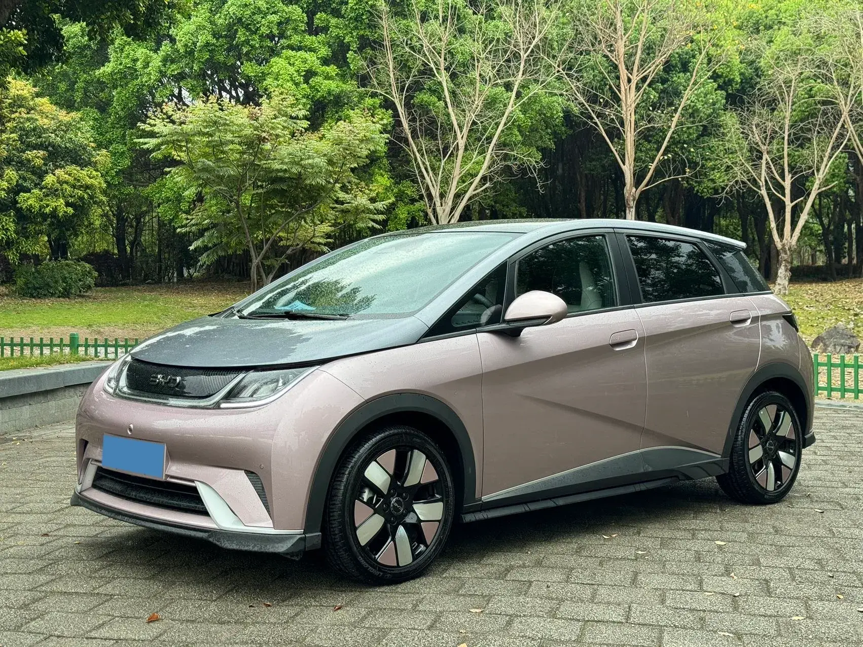 2023 BYD DOLPHIN view 1