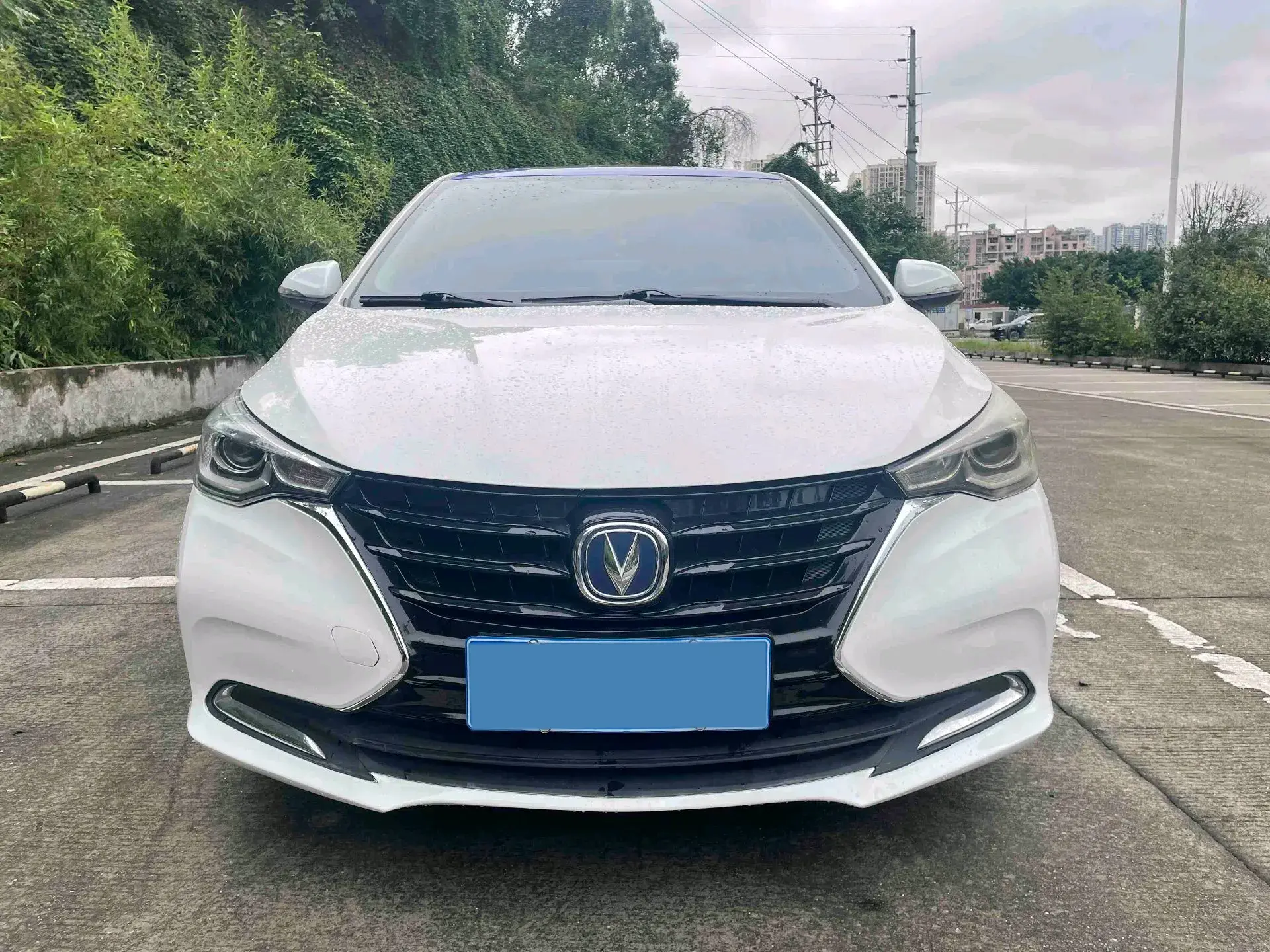 2019 CHANGAN ALSVIN thumbnail 2