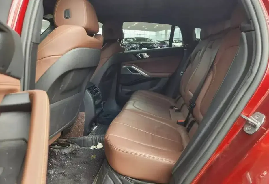 2020 BMW X6 thumbnail 4