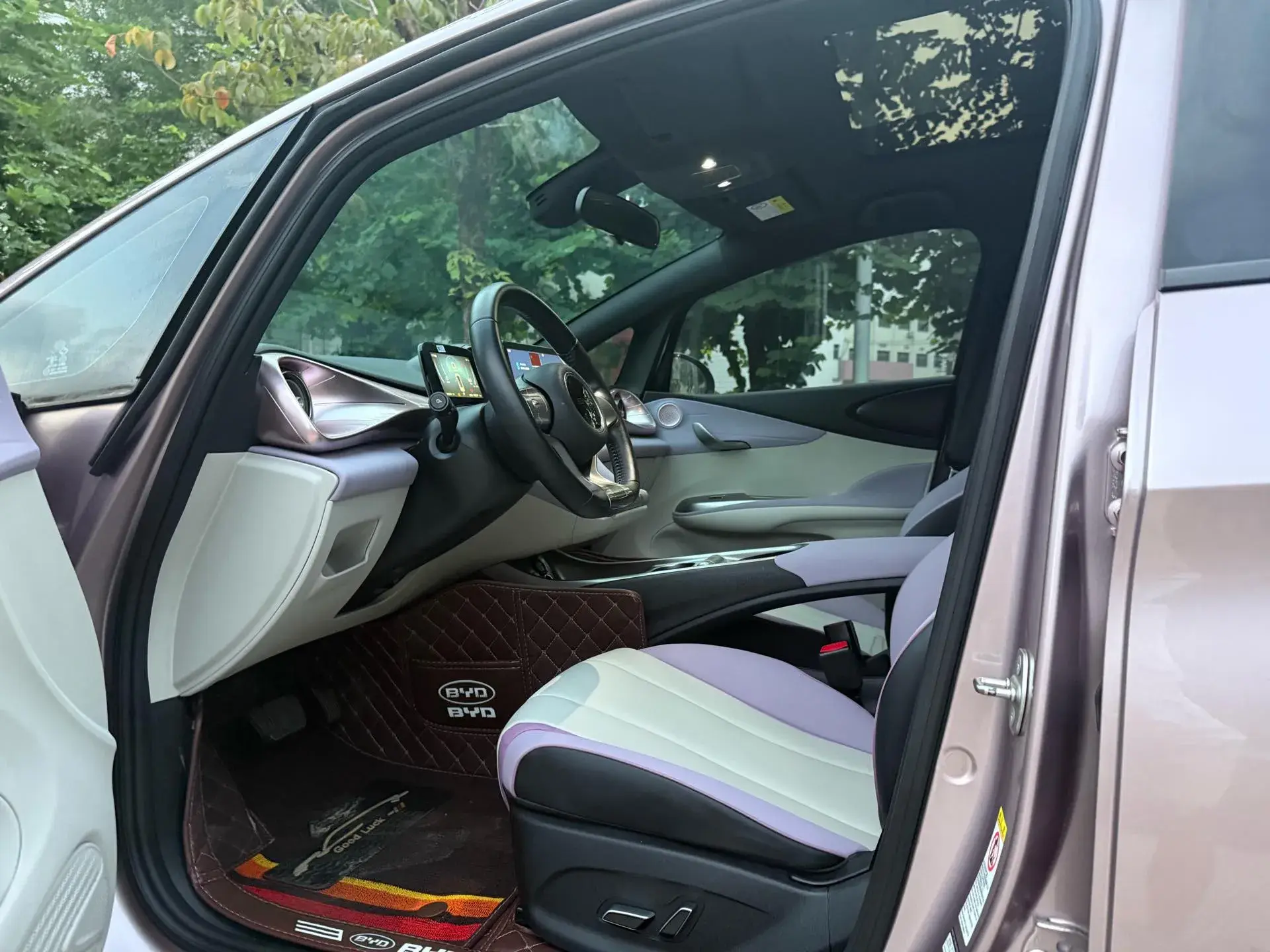 2021 BYD DOLPHIN thumbnail 4