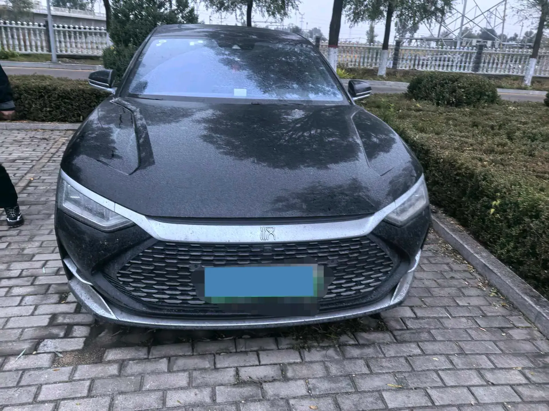 2020 BYD HAN thumbnail 2