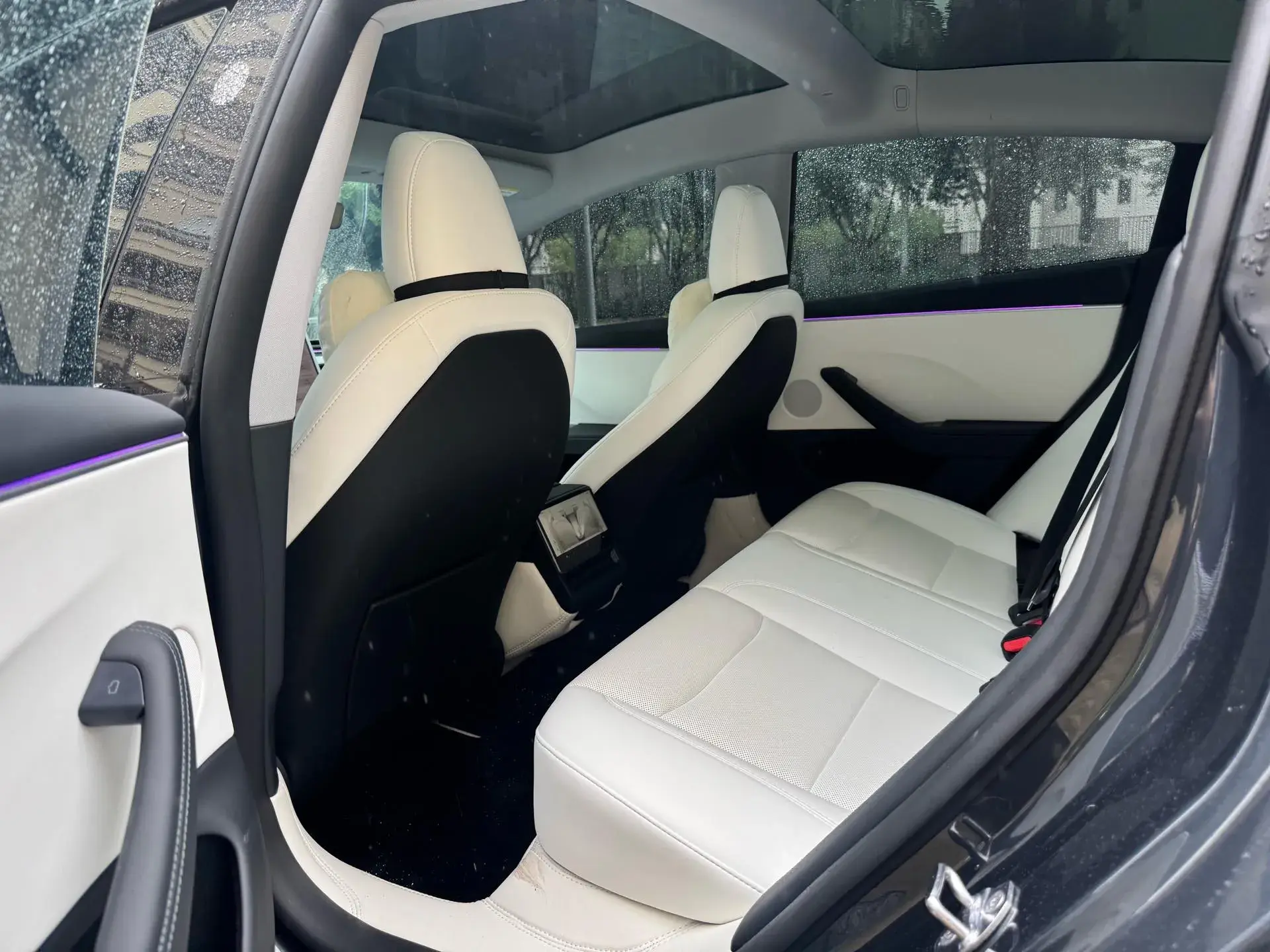 2023 TESLA MODEL thumbnail 4