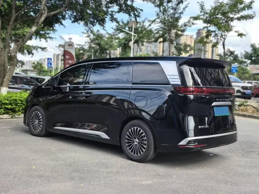 2024 DENZA D9 thumbnail 3