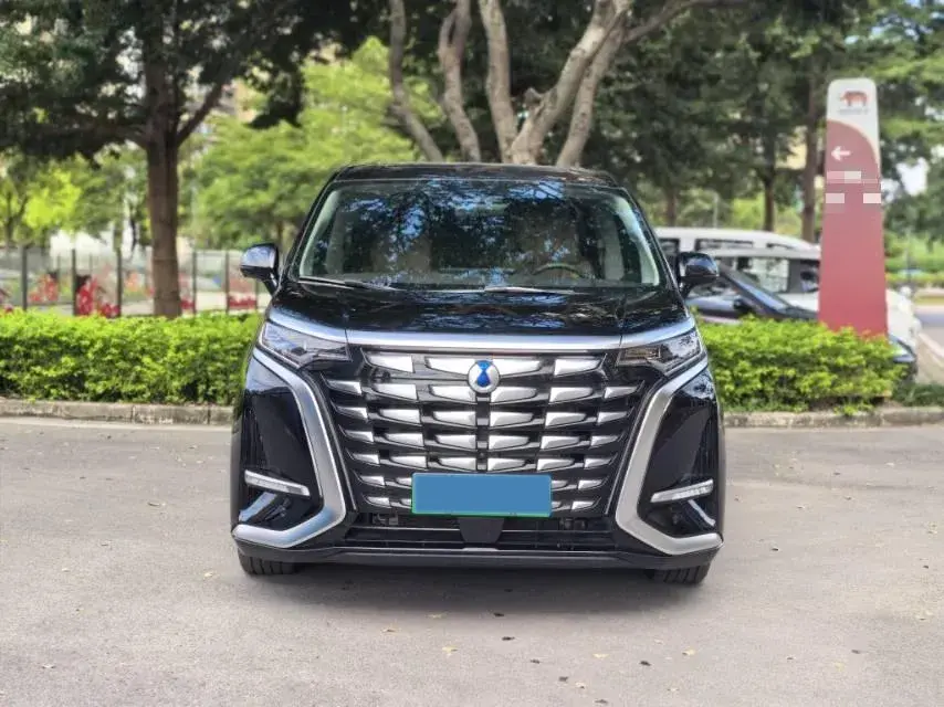 2024 DENZA D9 thumbnail 4