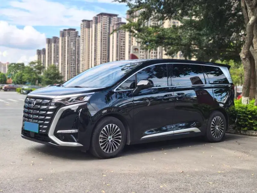 2024 DENZA D9 view 1