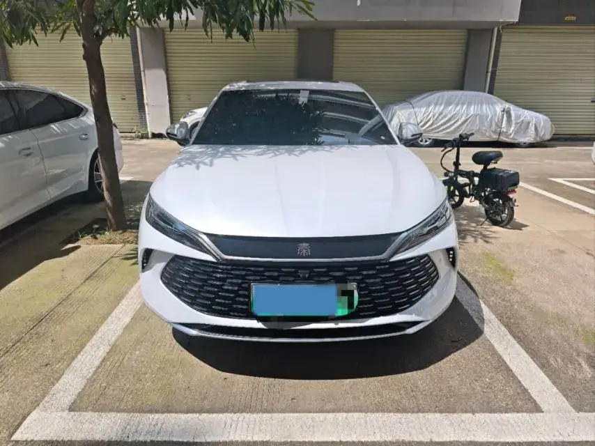 2025 BYD QINL thumbnail 2