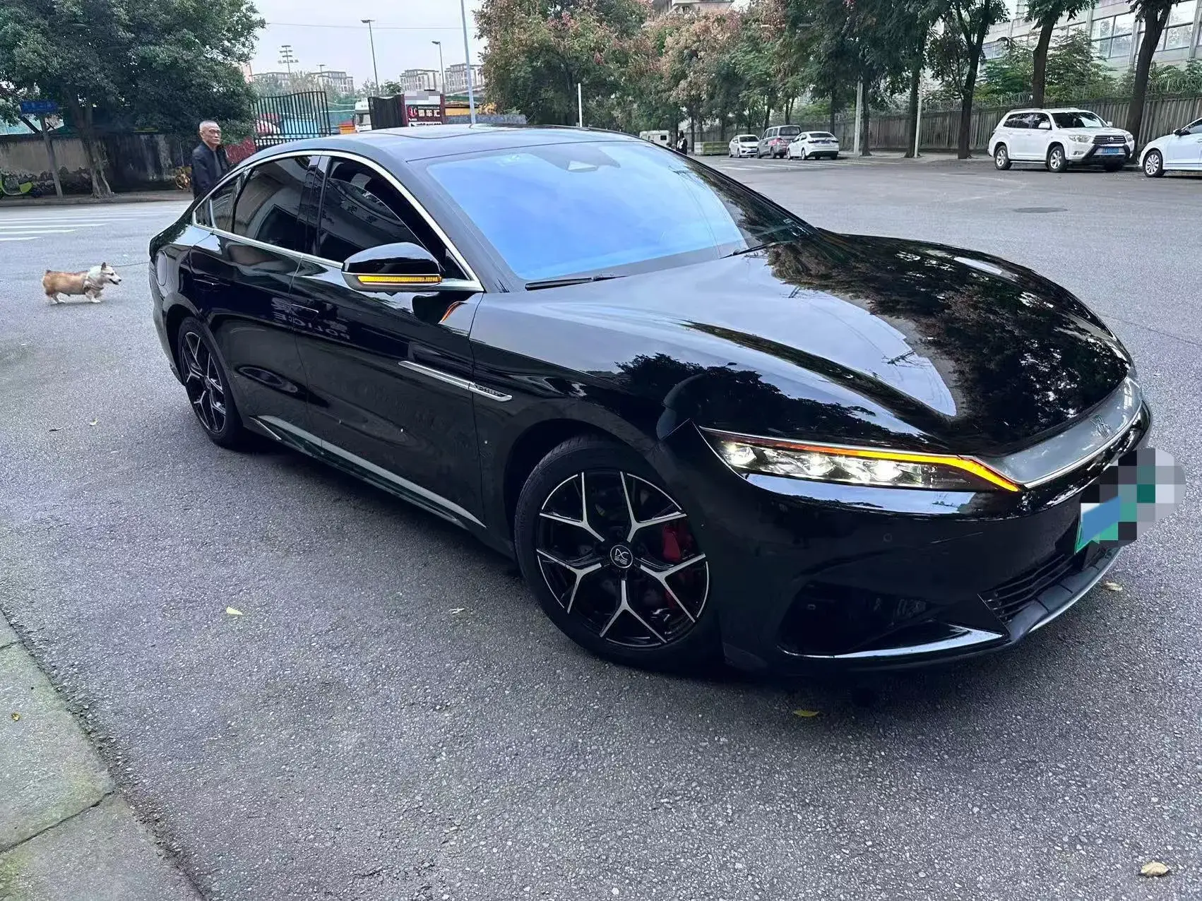 2022 BYD HAN thumbnail 2