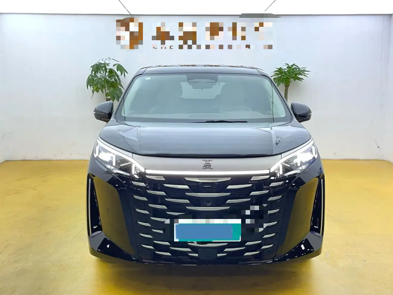 2025 BYD XIA thumbnail 2