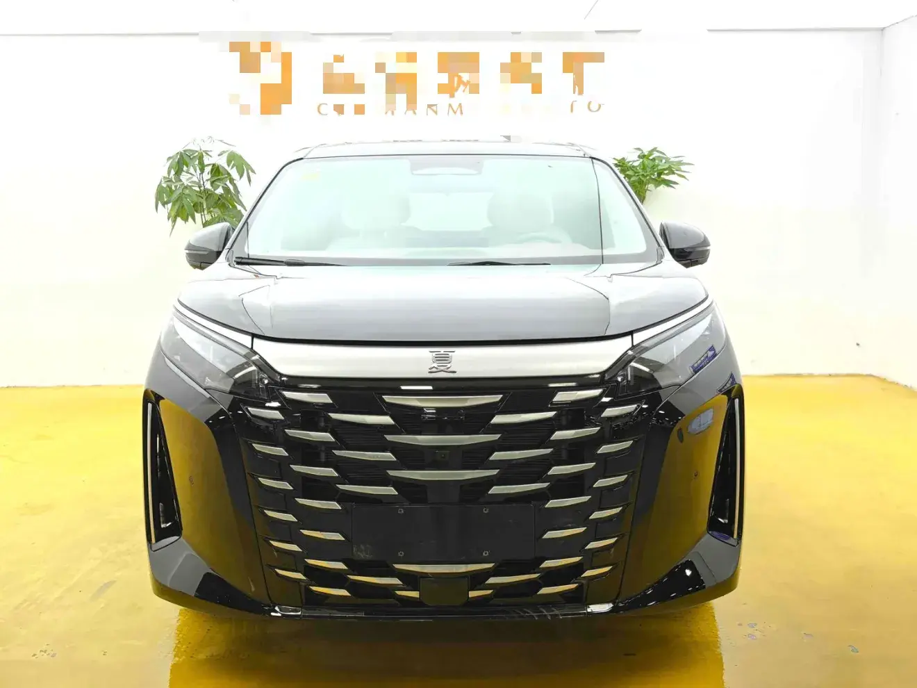 2025 BYD XIA thumbnail 2