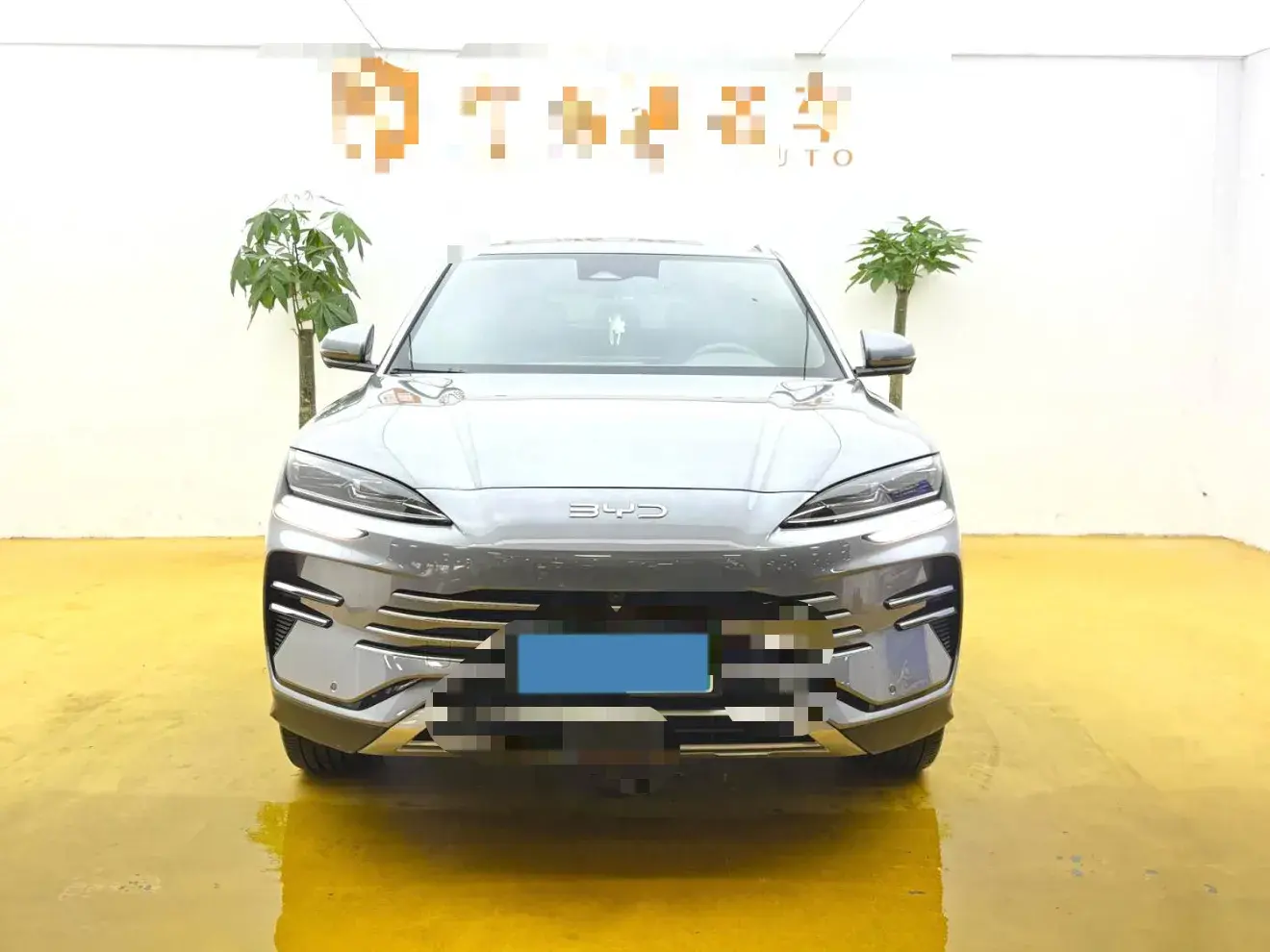 2025 BYD SONG thumbnail 2