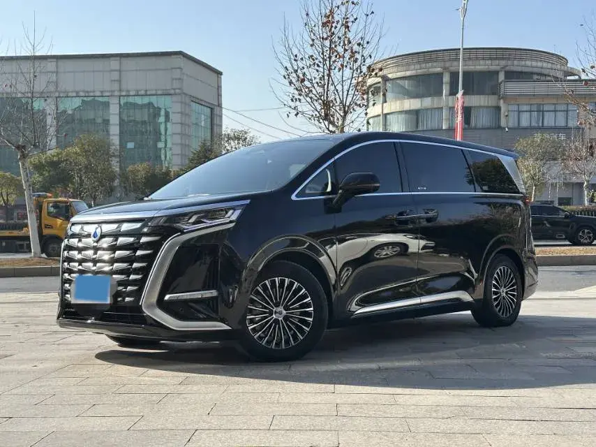 2023 DENZA D9 view 1