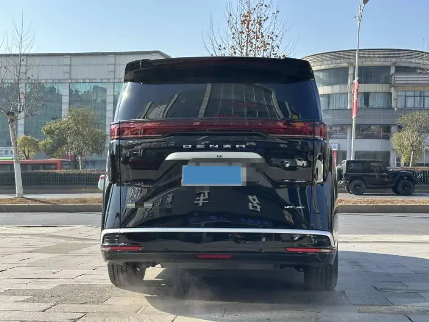 2023 DENZA D9 thumbnail 2