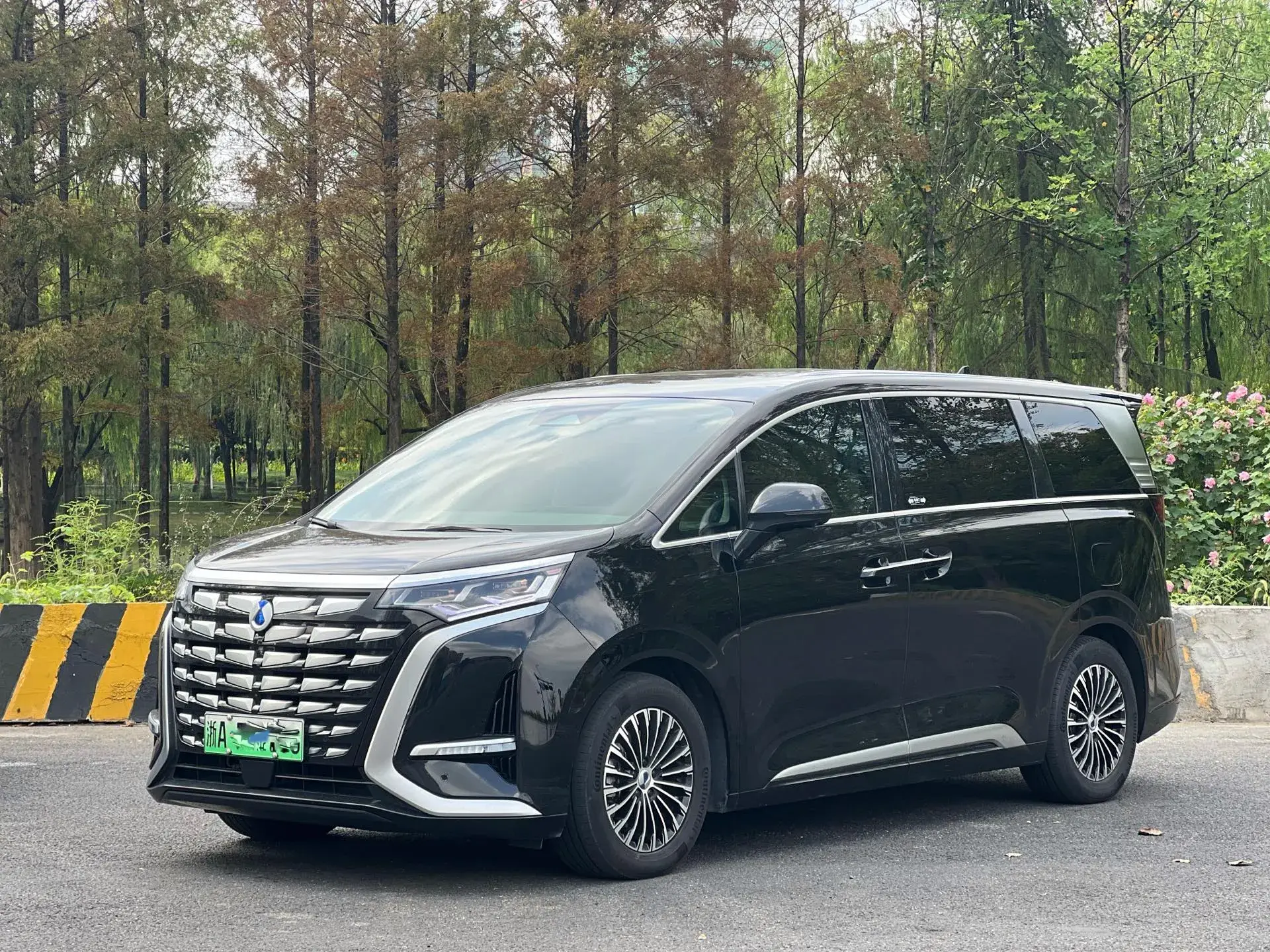 2022 DENZA D9 view 1