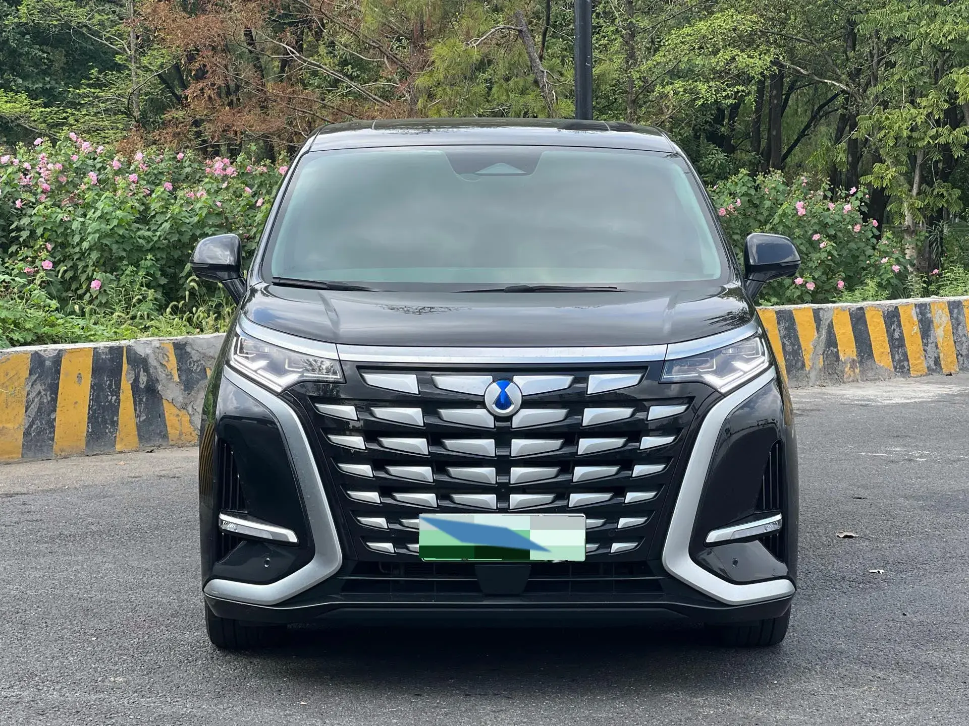 2022 DENZA D9 thumbnail 2