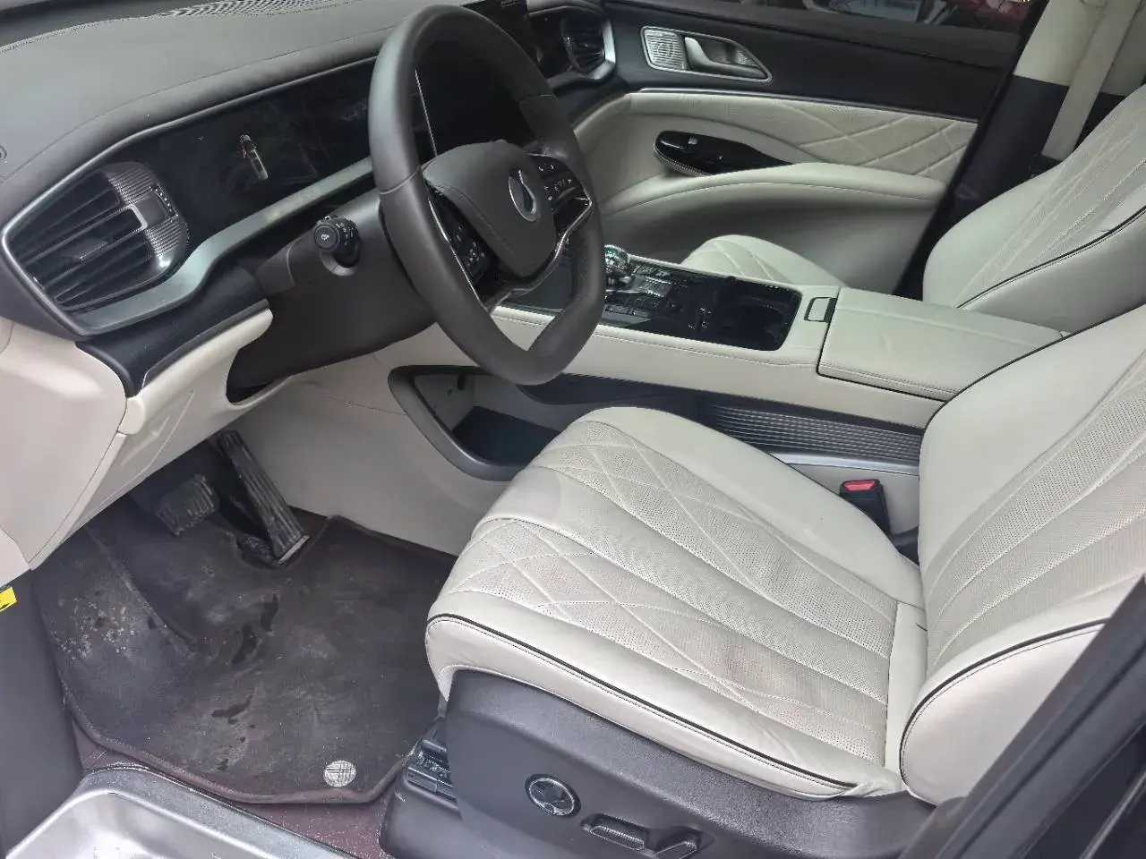 2024 DENZA D9 thumbnail 2