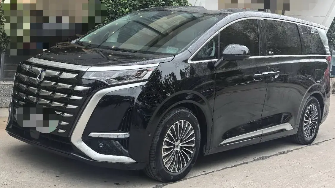 2024 DENZA D9 view 1