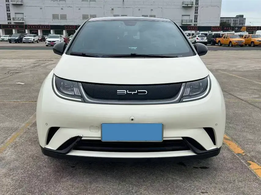 2023 BYD DOLPHIN view 1