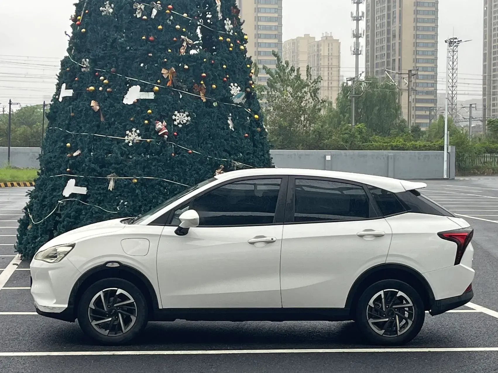 2021 NETA V thumbnail 3