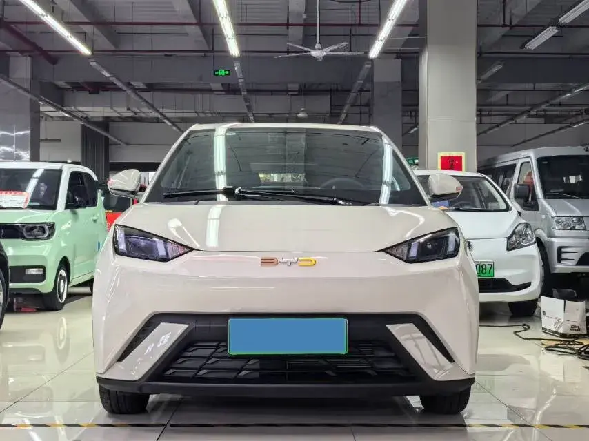 2025 BYD SEAGULL thumbnail 2