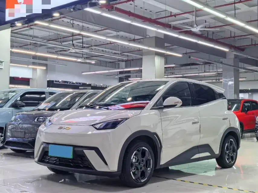 2025 BYD SEAGULL view 1