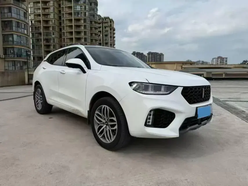 2017 WEY VV5 thumbnail 3