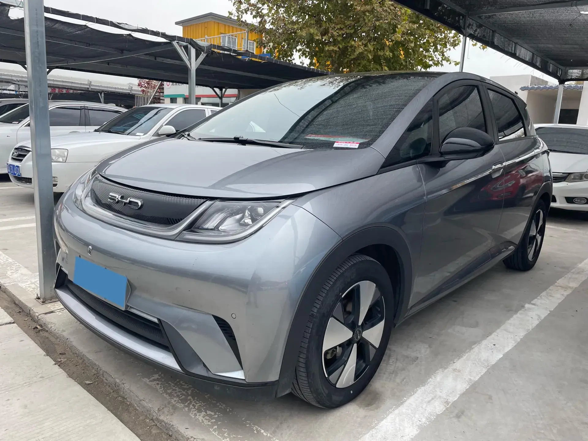 2023 BYD DOLPHIN view 1