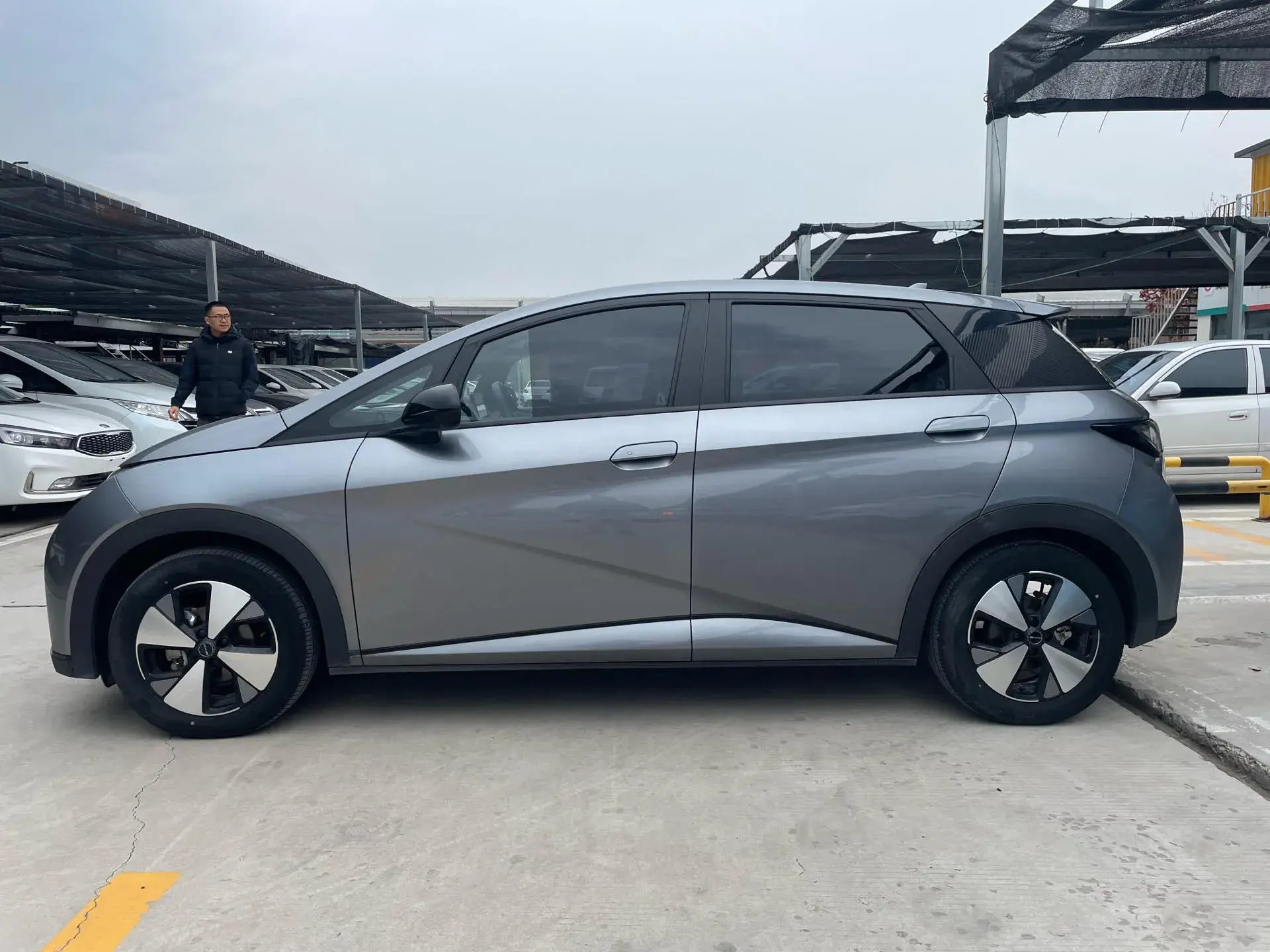 2023 BYD DOLPHIN thumbnail 3