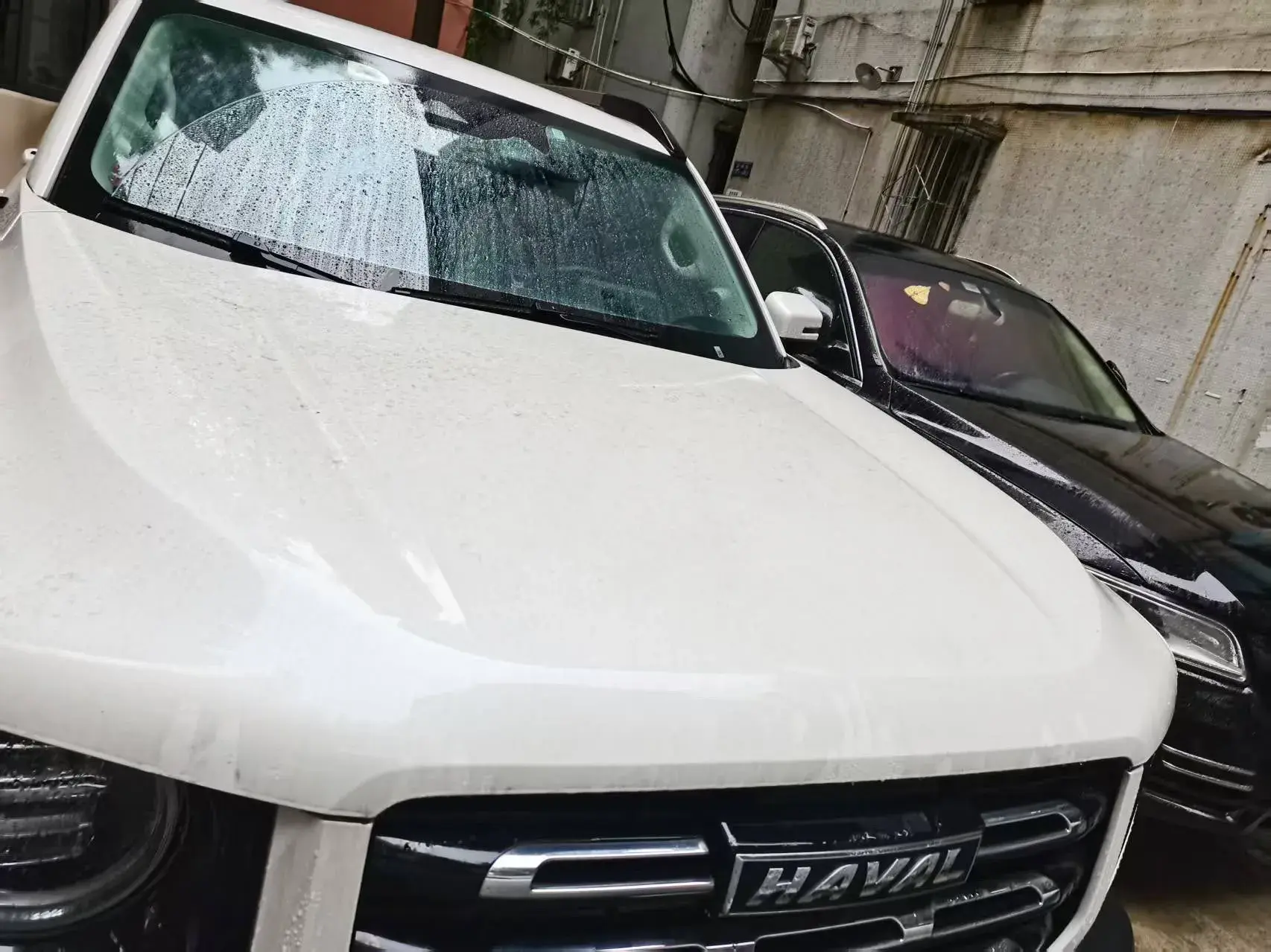 2021 HAVAL DARGO thumbnail 3