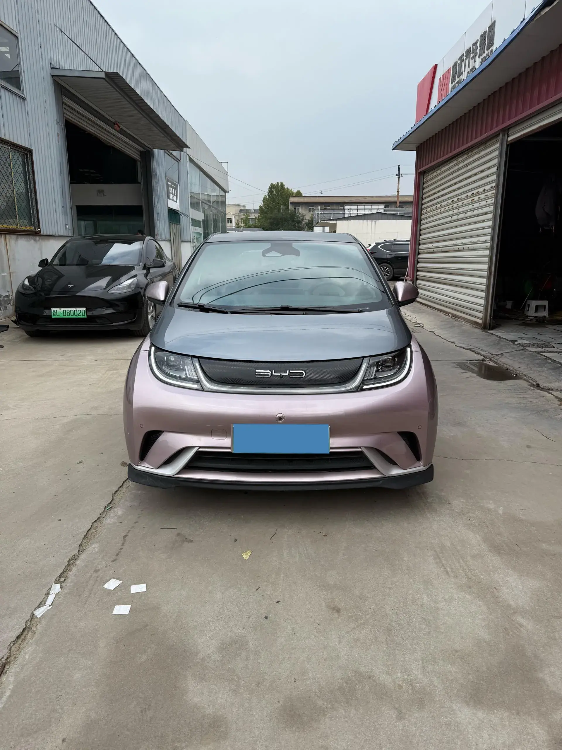 2023 BYD DOLPHIN thumbnail 2