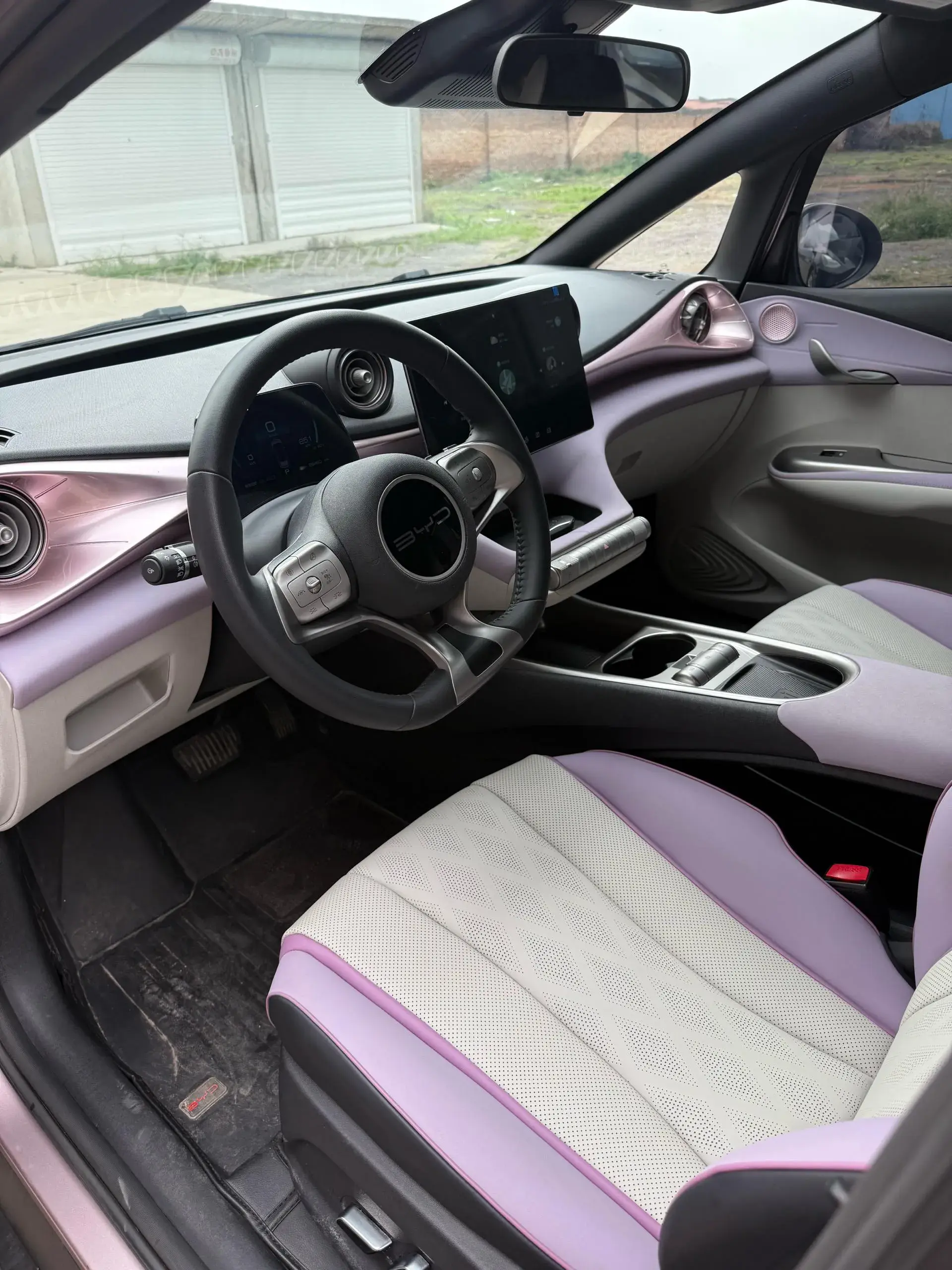 2023 BYD DOLPHIN thumbnail 4