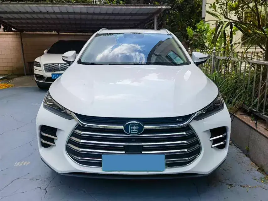 2018 BYD TANG thumbnail 2