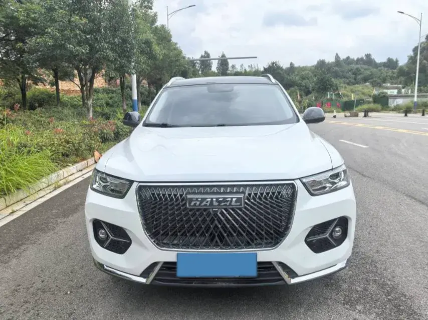 2021 HAVAL H6 thumbnail 2