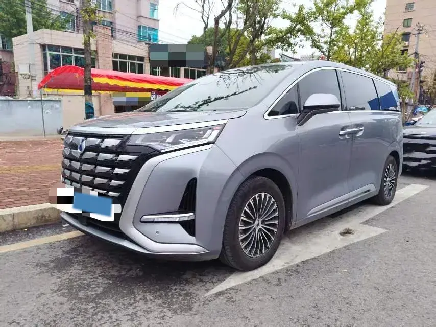 2022 DENZA D9 view 1