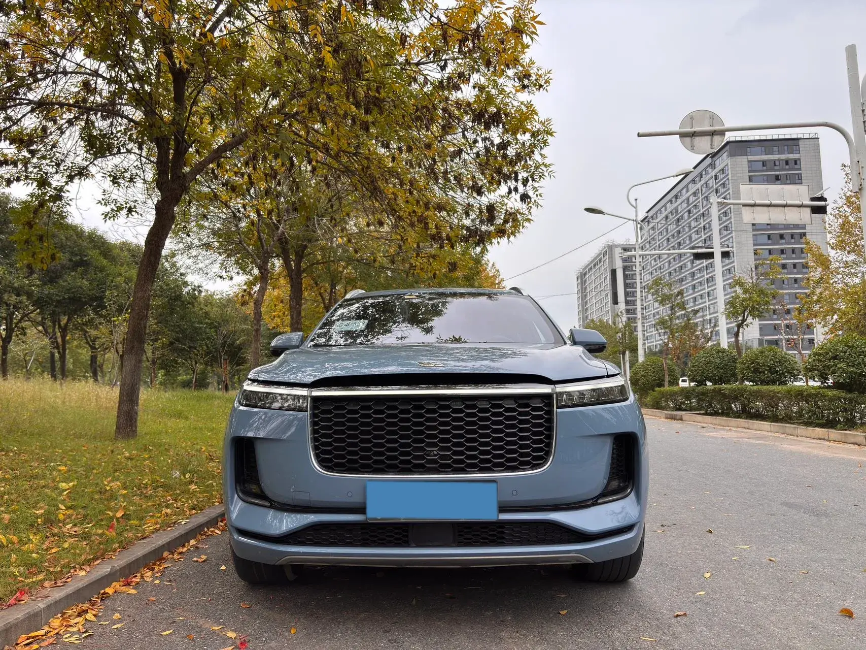 2021 LI ONE thumbnail 2