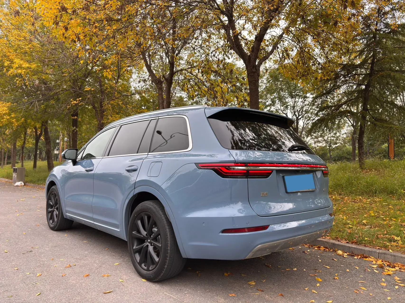 2021 LI ONE thumbnail 4