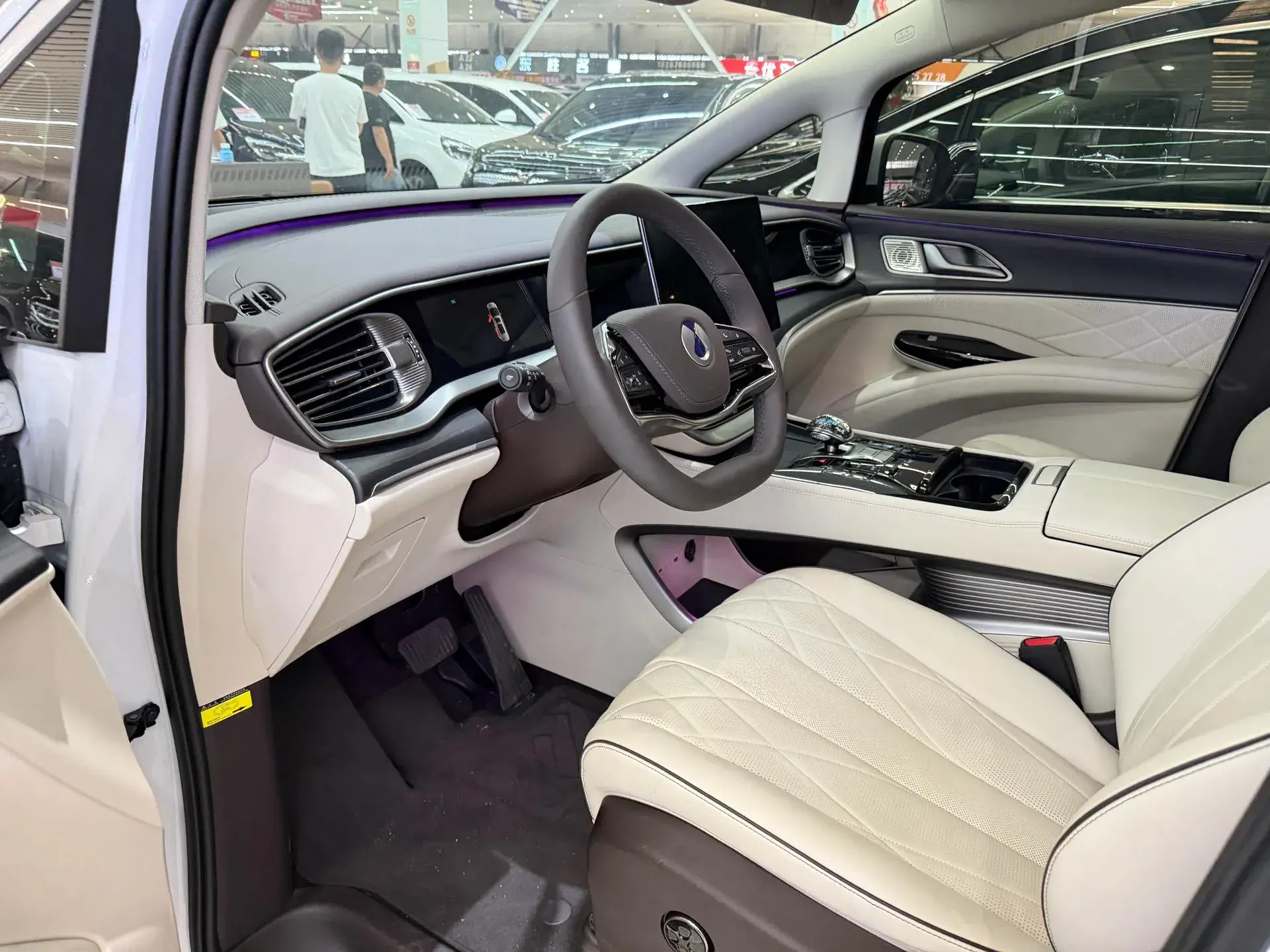 2024 DENZA D9 thumbnail 3