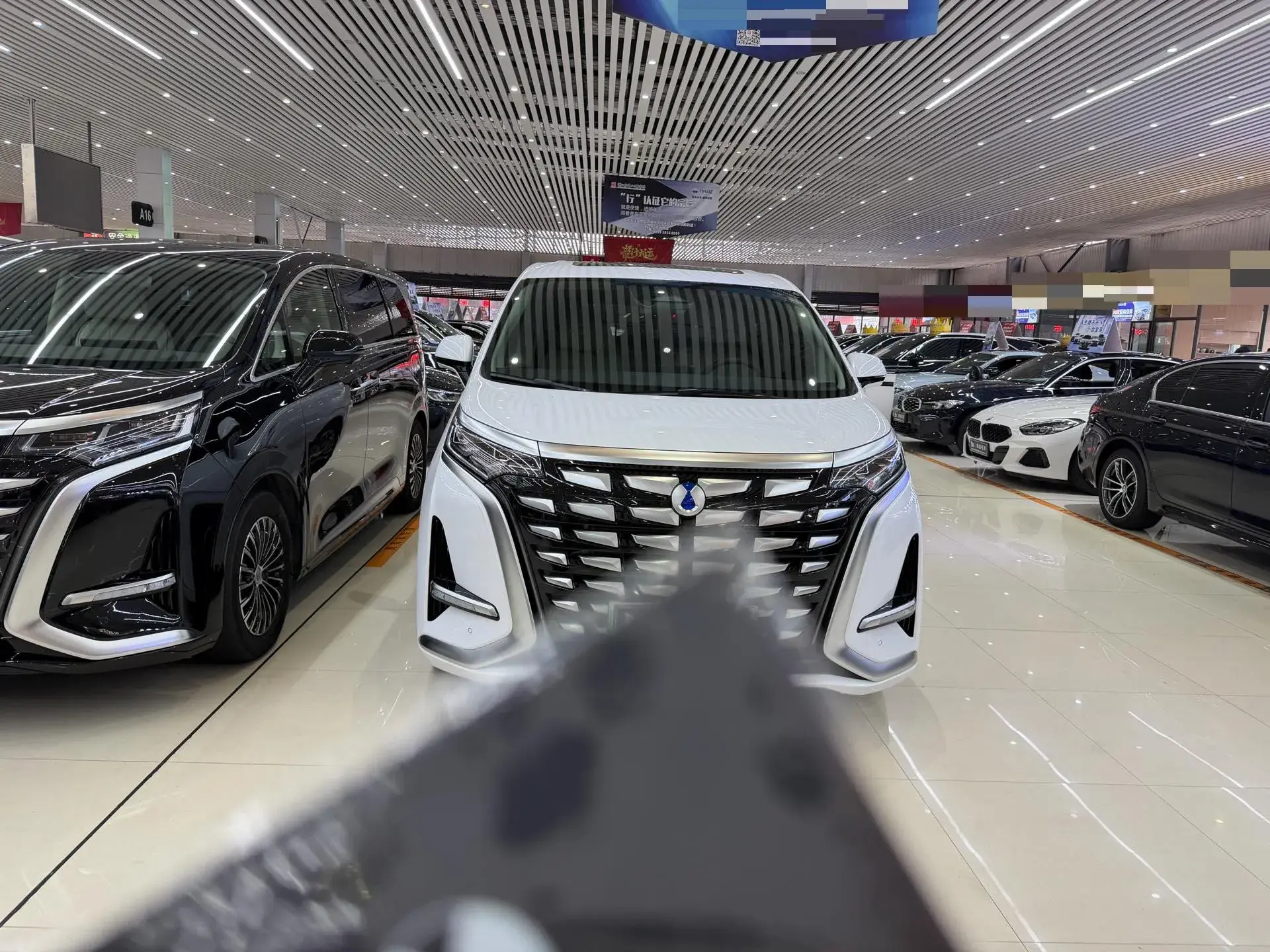 2024 DENZA D9 thumbnail 2