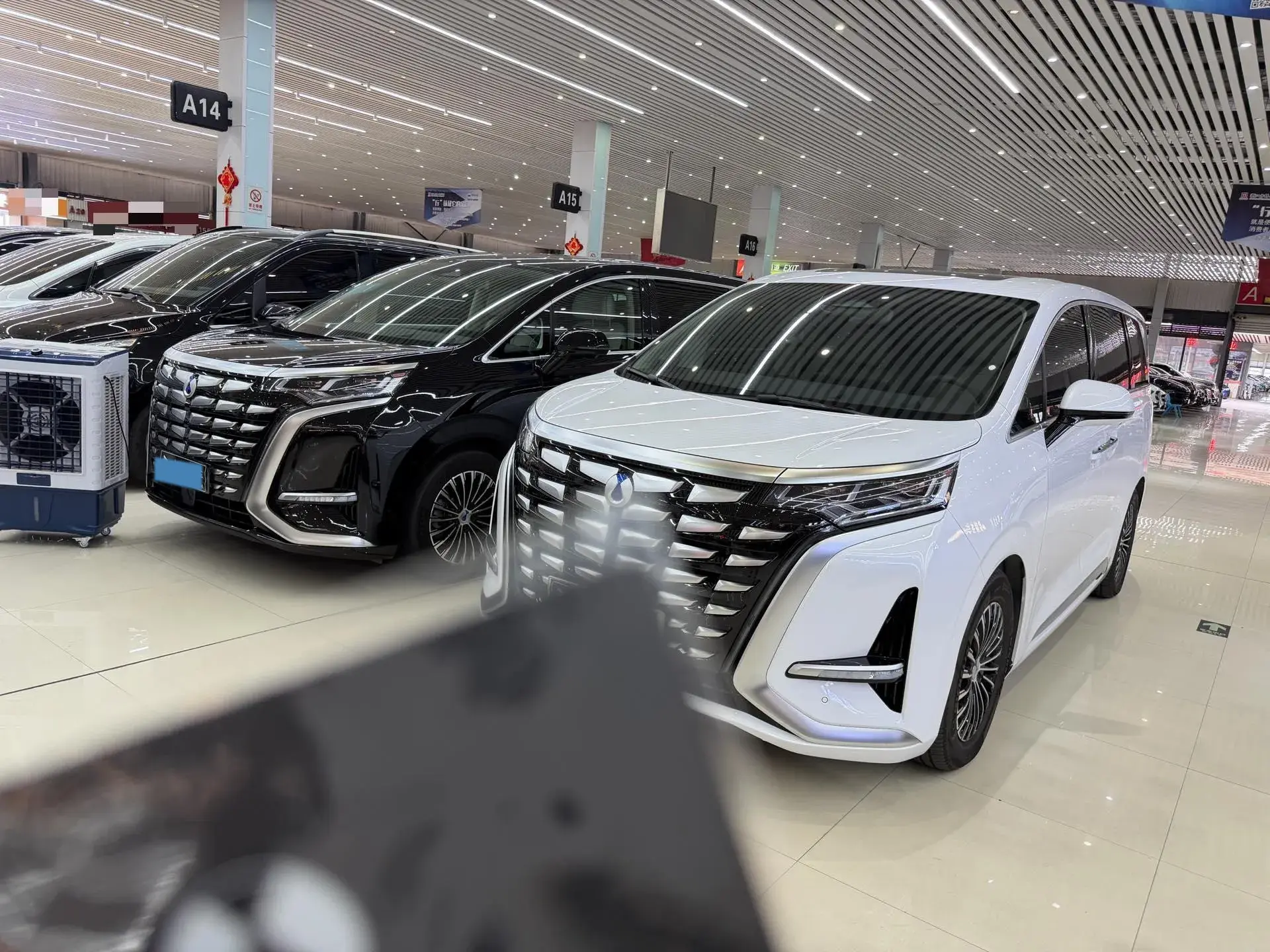 2024 DENZA D9 view 1