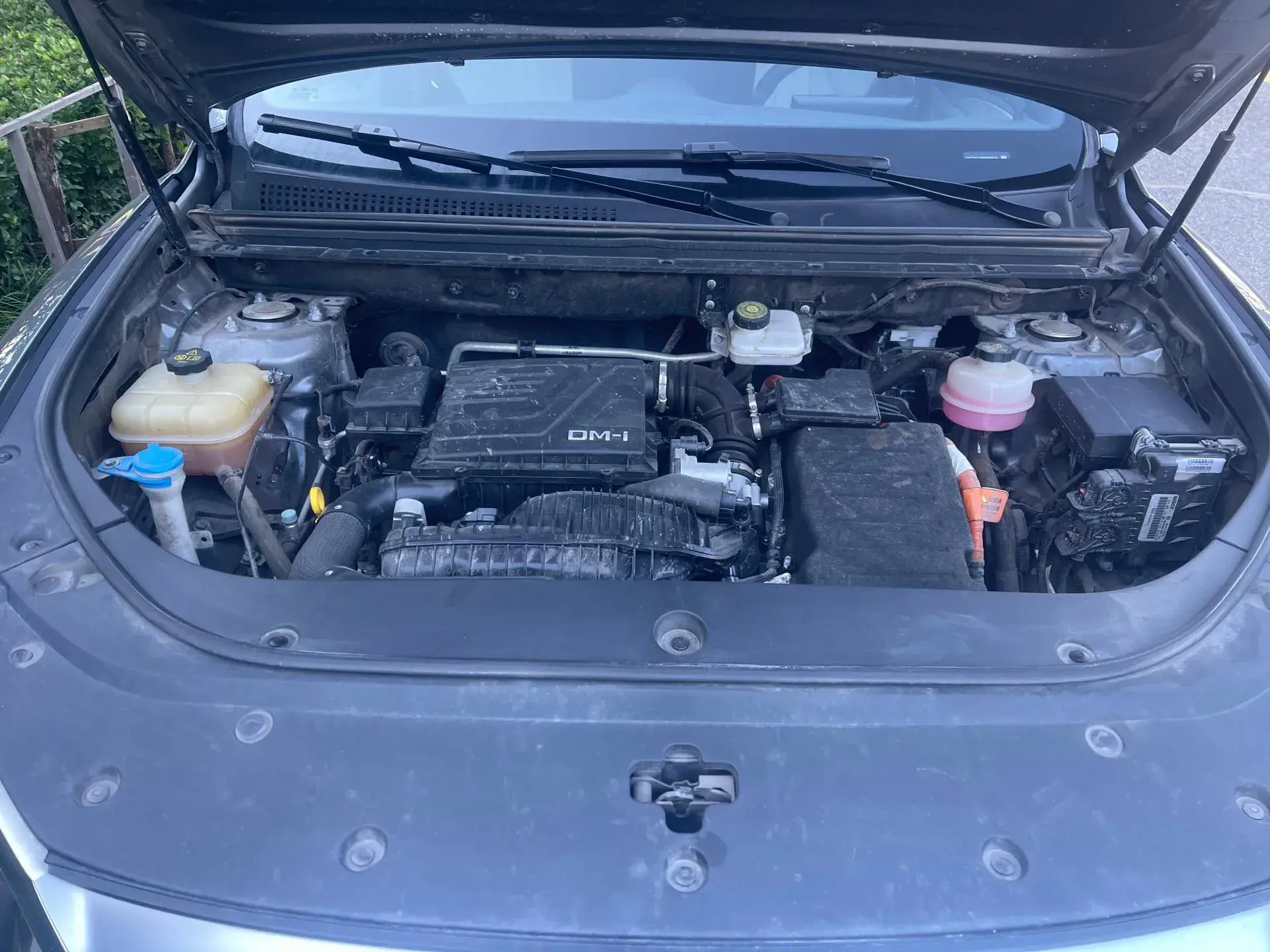 2022 BYD SONG thumbnail 2