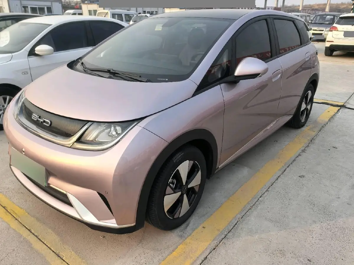 2023 BYD Dolphin BEV 44.928KWH